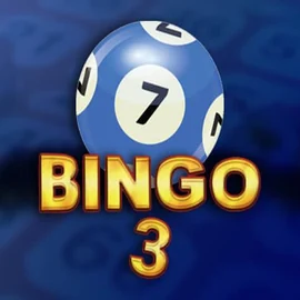 Bingo 3