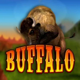 Buffalo Bingo